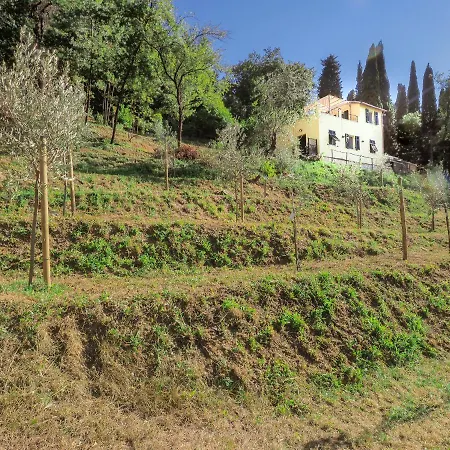Villa Venus House